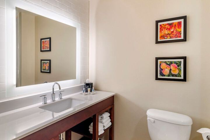 Comfort Suites Newnan