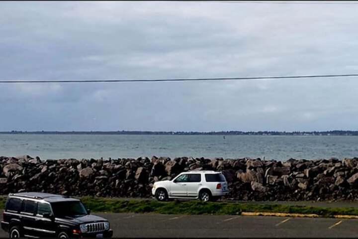 Islander Westport