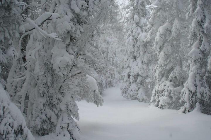 Chicaugon Lake Inn