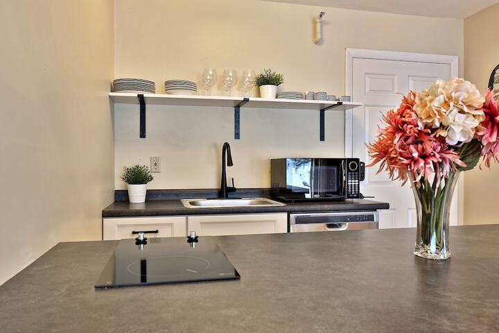 The Birch Ridge: Owners Suite #5 - Queen / sofa Bed Suite in Killington. Hot Tub. Renovated. 1 Bedroom Home
