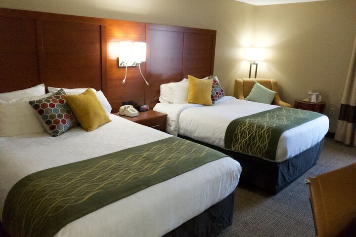 Room 43 of 55