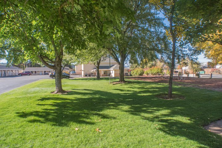 Shasta Pines Motel & Suites