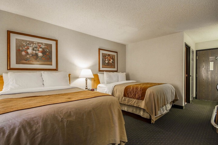 Room 17 of 43