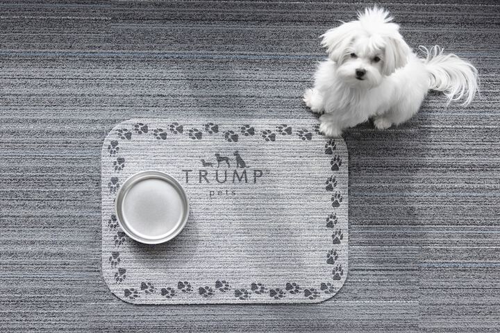 Pet Friendly 145 of 158
