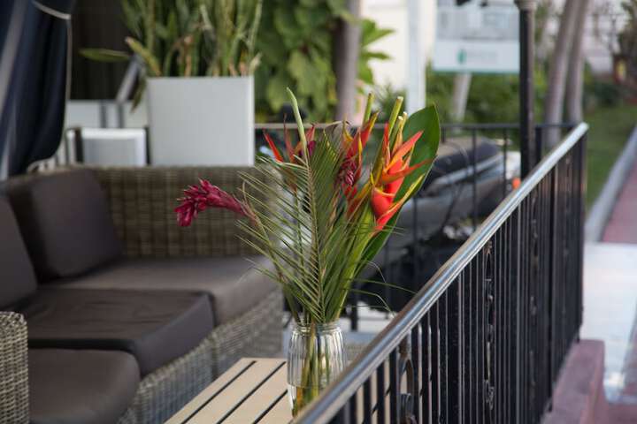 Terrace/Patio 43 of 43