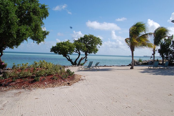 Beach 140 of 206