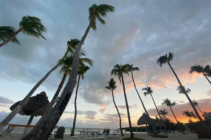 Beach 155 of 198