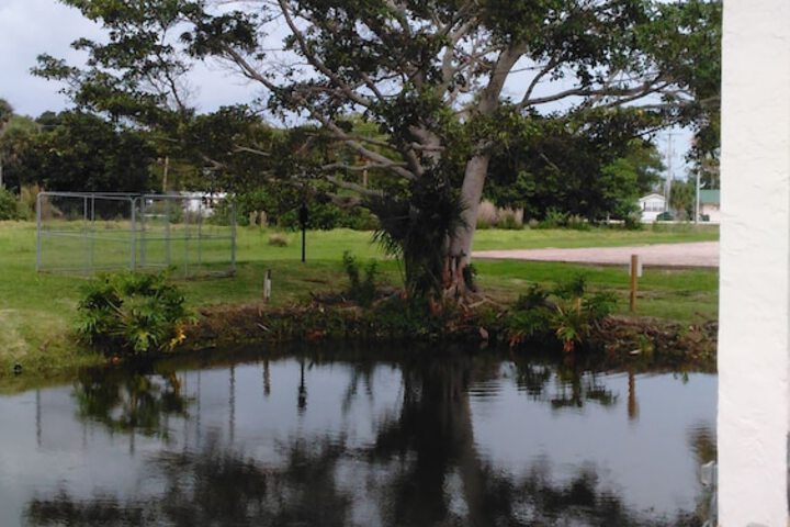 Lakeshore Resort and Marina