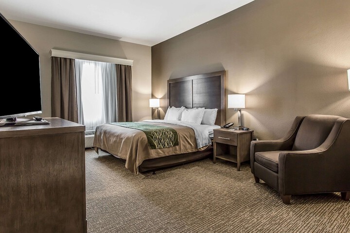 Comfort Inn & Suites Snyder