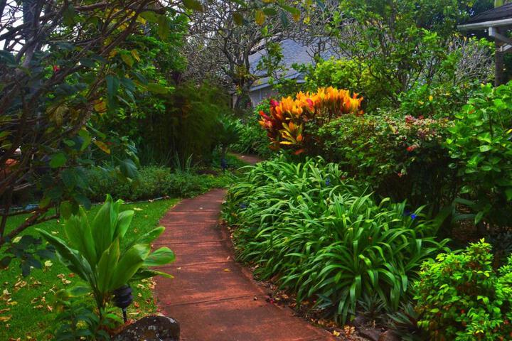 Banyan Tree B & B Retreat
