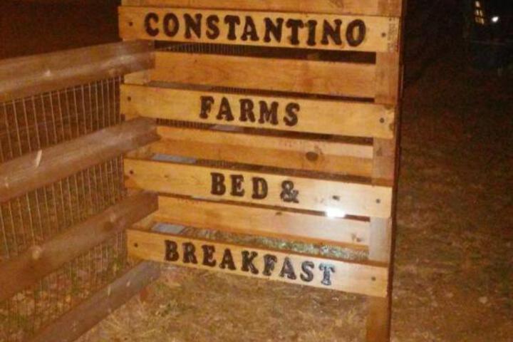 Constantino Farms