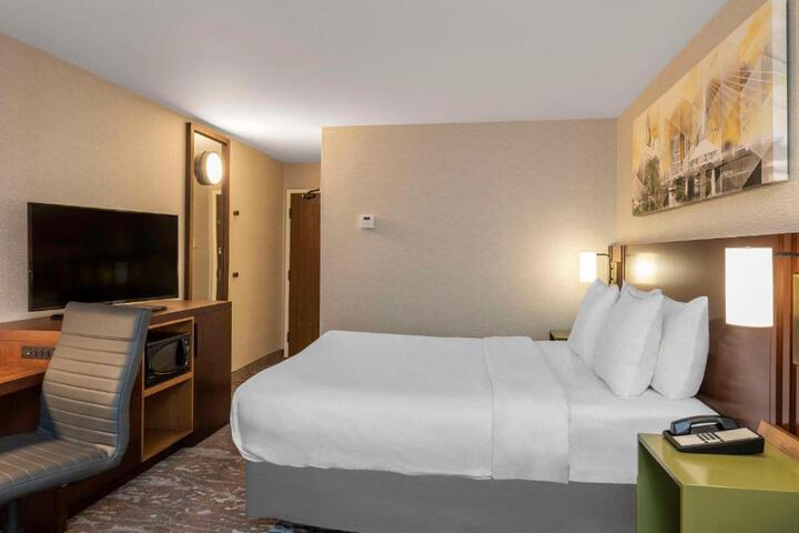 Comfort Inn South