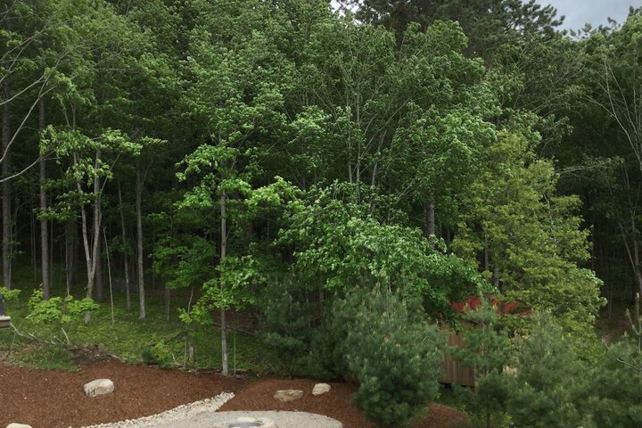 Property Grounds 31 of 33