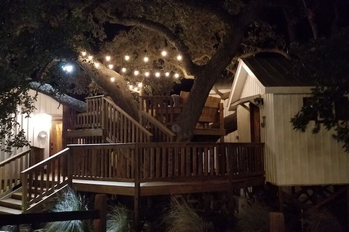 The Alexander at Creek Road