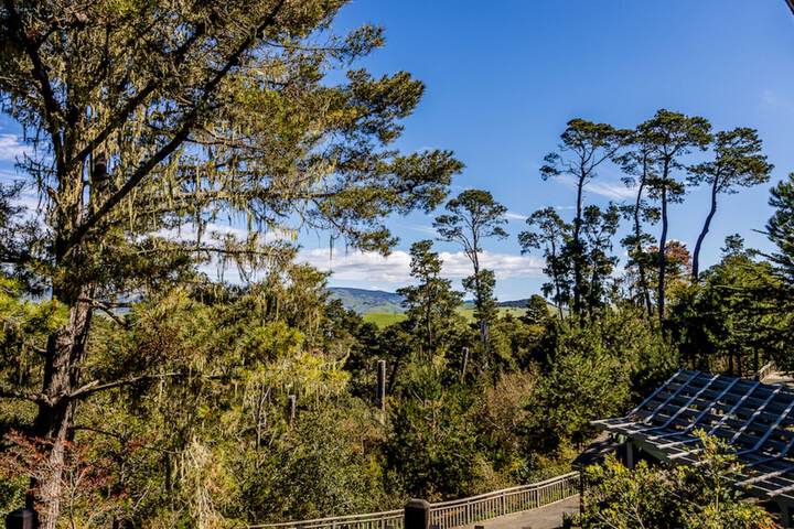 Cambria Pines Lodge