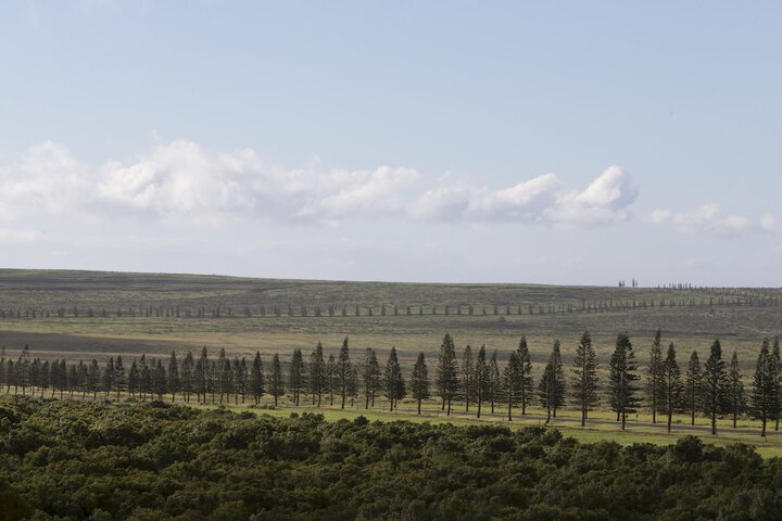 Four Seasons Resort Lanai