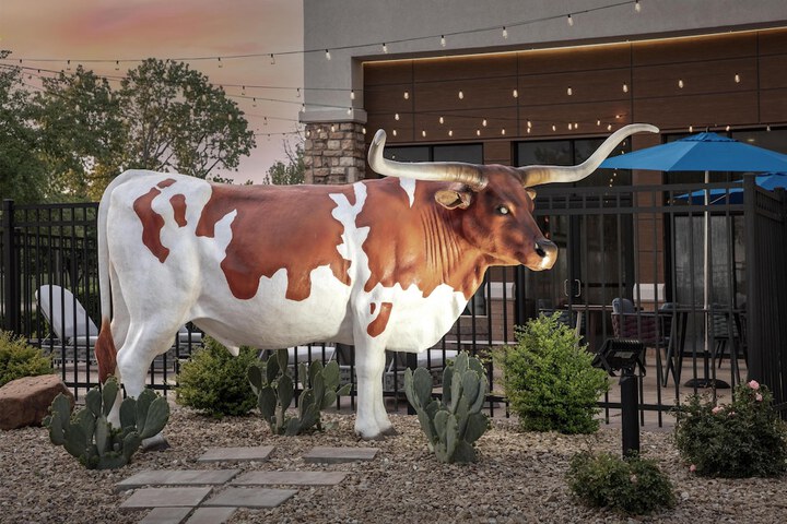 Hampton Inn & Suites Dallas-DFW ARPT W-SH 183 Hurst