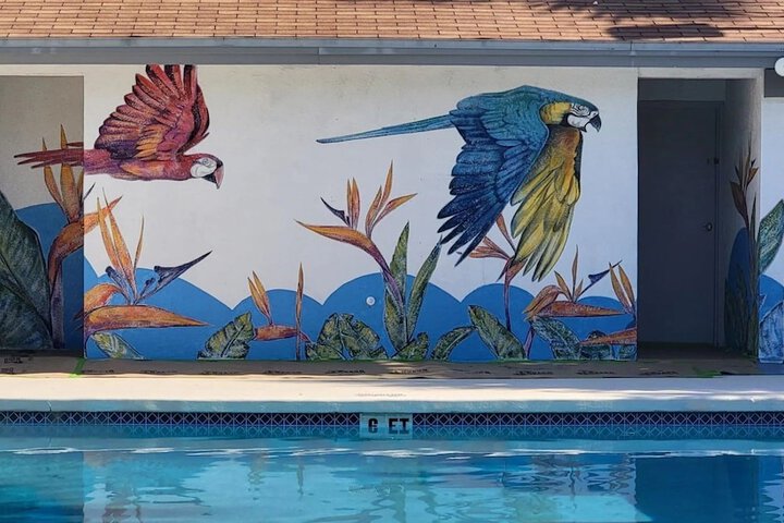 Pool 5 of 51