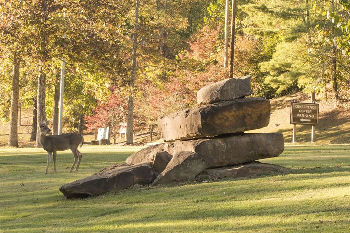 Buckhorn Lake State Resort Park