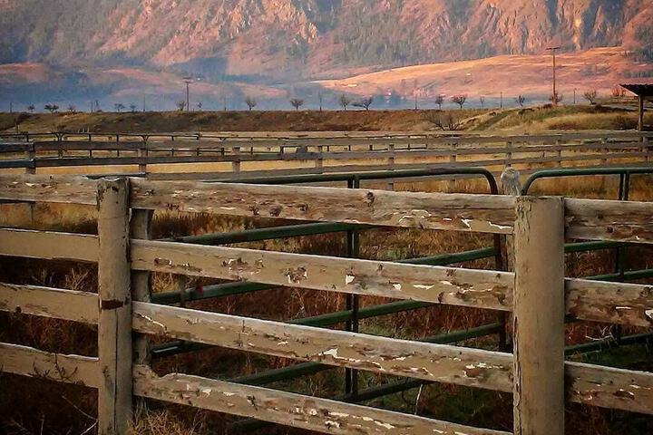 Casia Lodge and Ranch