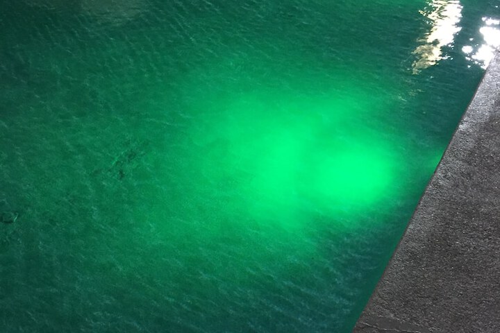 Pool 6 of 28