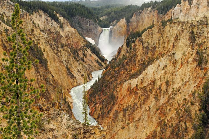Holiday Inn West Yellowstone by IHG.