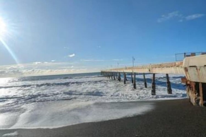 Coastal Palm Tree 2BR Retreat Ocean View