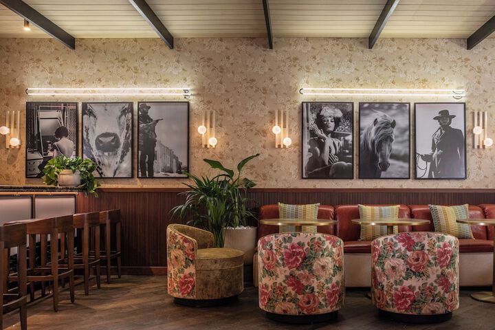 C. Baldwin Curio Collection by Hilton