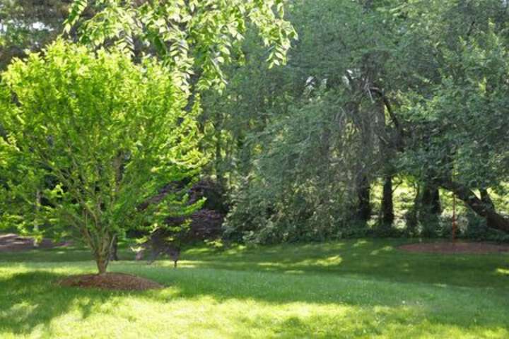 Property Grounds 51 of 51