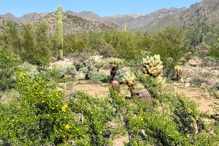 Hilton Scottsdale Resort & Villas
