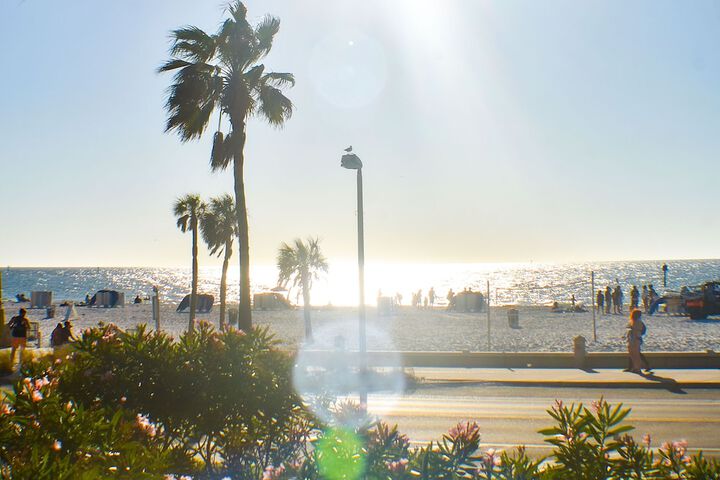 Beach 99 of 131
