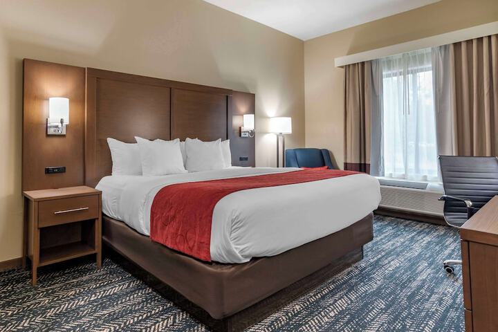 Comfort Inn & Suites Downtown near University