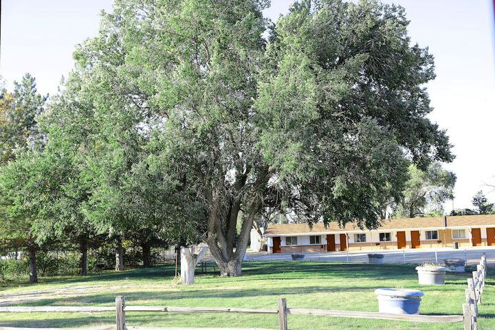 Raine Motel