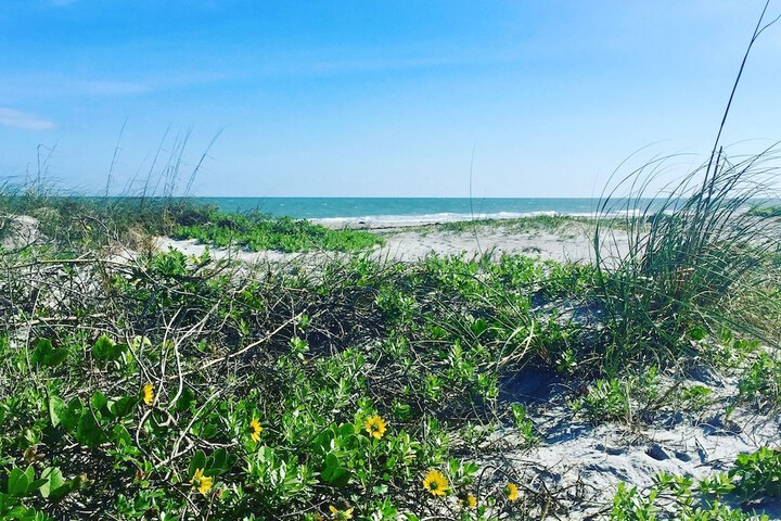 Beach 55 of 98