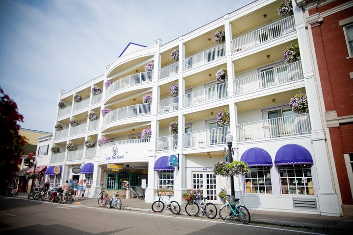 Lilac Tree Suites