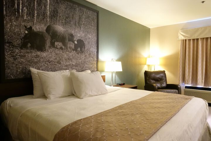 Room 12 of 49
