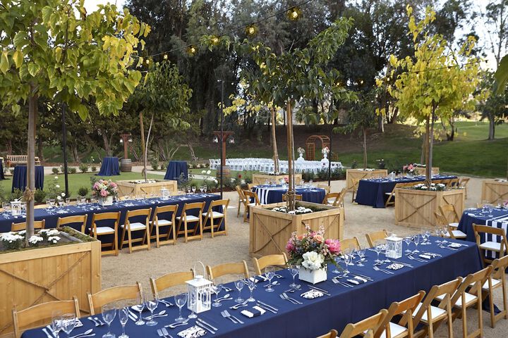 Wedding/Banquet 37 of 62