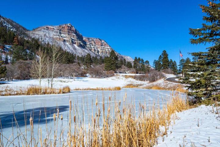 Tamarron Gambel Oak 790 - Wild Turkey Ridge - Durango CO