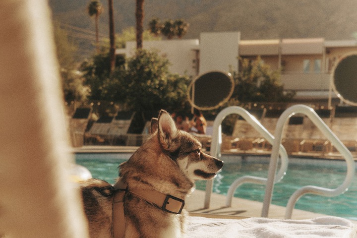Pool 12 of 79