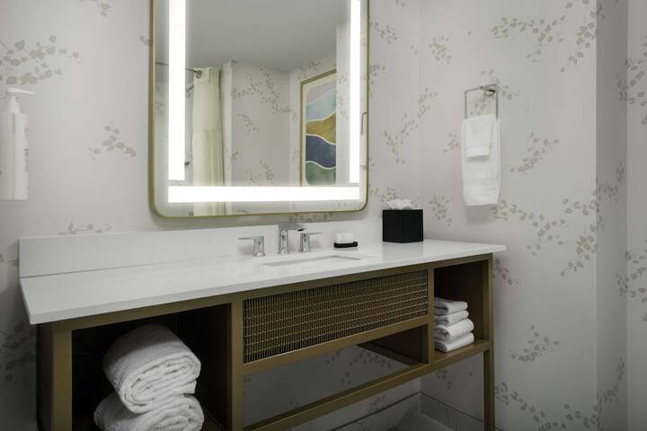 Embassy Suites by Hilton Dulles North Loudoun