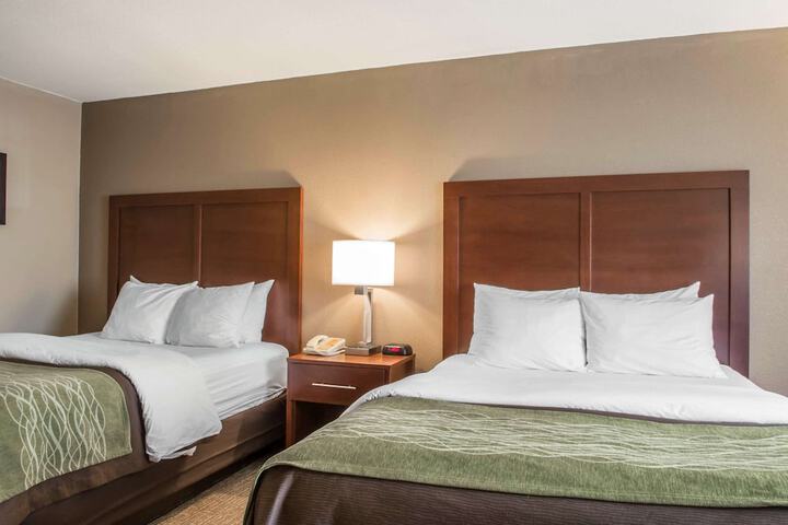 Comfort Inn Edinburg South