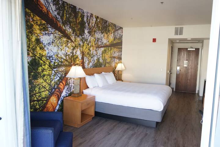 Room 16 of 56