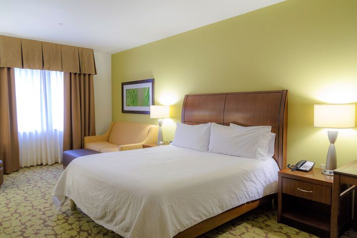 Hilton Garden Inn Rochester Downtown NY