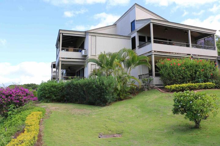 Wailea Sunset Condo - Ekolu #607