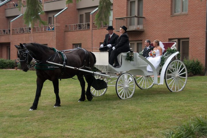 Wedding/Banquet 29 of 51