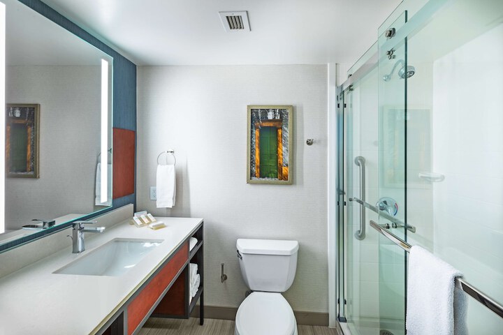 Hilton Garden Inn Houston / Sugar Land