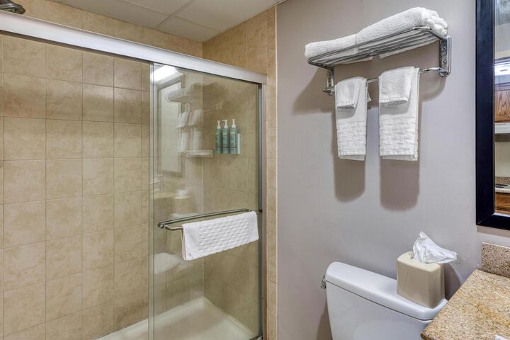 Best Western Owego Inn