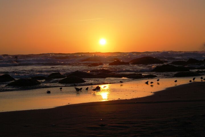 Beach 29 of 40