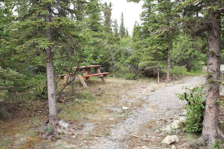 Denali RV Park and Motel