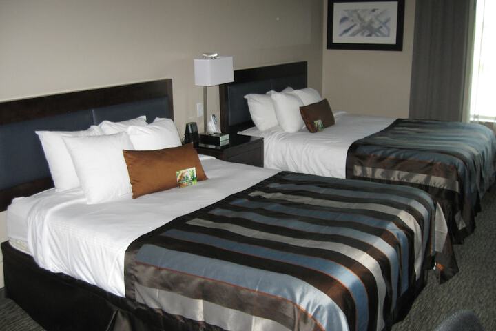 Room 8 of 50
